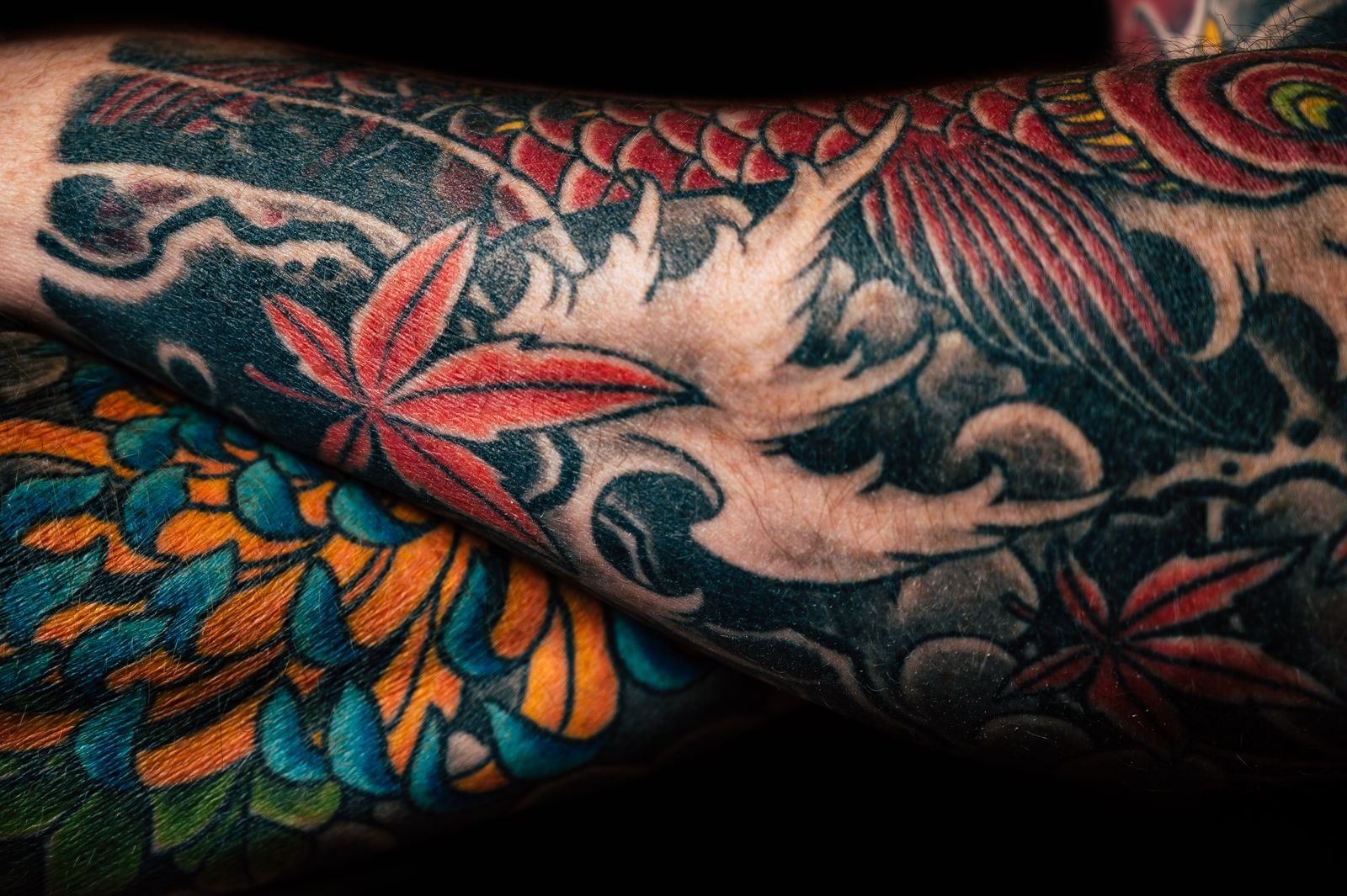 Colorful neo traditional tattoo sleeve with floral detail and bold structural lines